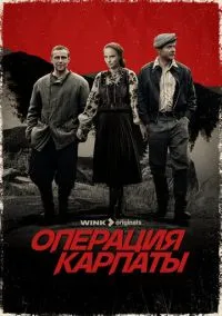 Операция «Карпаты» (2024)